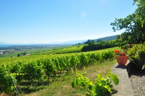 juillet 2010 MONT SUR ROLLE (79)