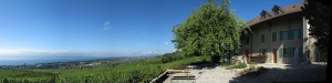 BELLEVUE-STB_0619