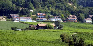 bellevue-IMG_9687