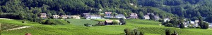 bellevue-IMG_9689-icone