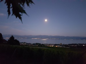 20160718_220300[1]