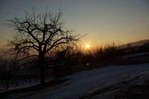 IMGP0219