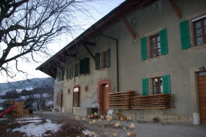 IMGP0254