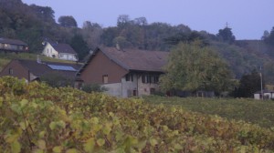 IMG_4983[1]